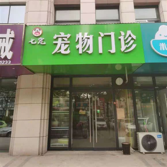 七宠宠物门诊:临沂市兰山区大学城附近