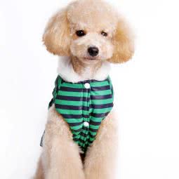 汪星人宠物会所(琅琊王路店):临沂市兰山区大学城附近