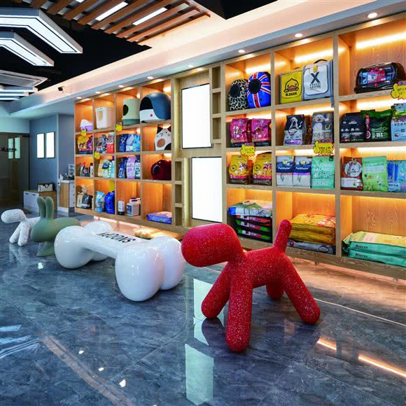 派特多宠物喵余家嘻室:天津城区南开区水上/天塔附近