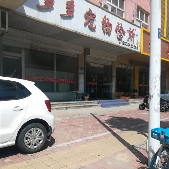 多多宠物诊所:临沂市兰山区火车站附近