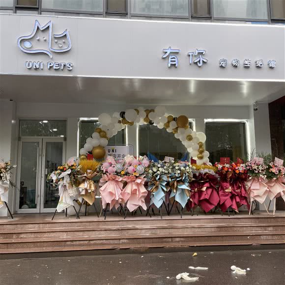 小佩宠物:临沂市兰山区沂州路附近