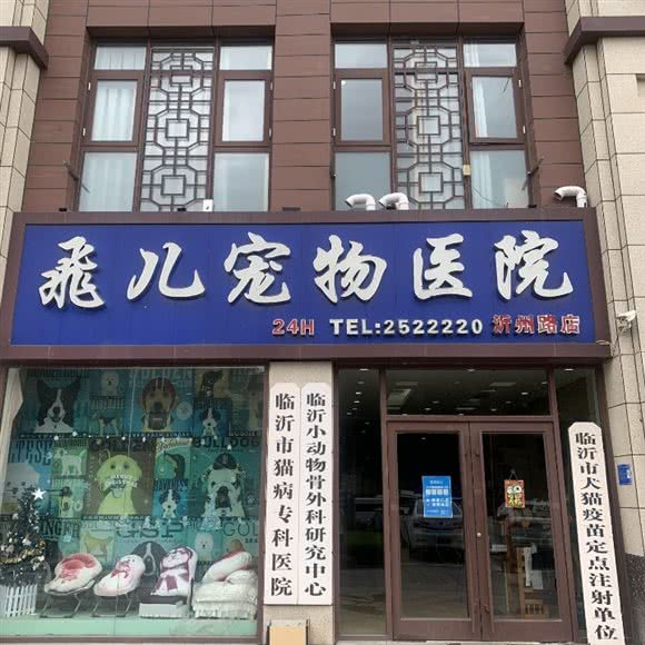 飞儿宠物医院(沂州路旗舰店):临沂市兰山区沂州路附近