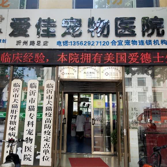爱佳宠物医院(沂州路总店):临沂市兰山区沂州路附近