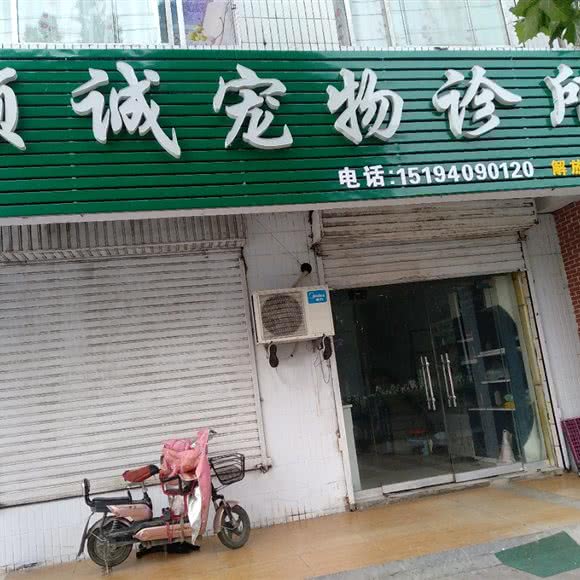 顺诚宠物诊所(解放路店):临沂市兰山区解放路附近