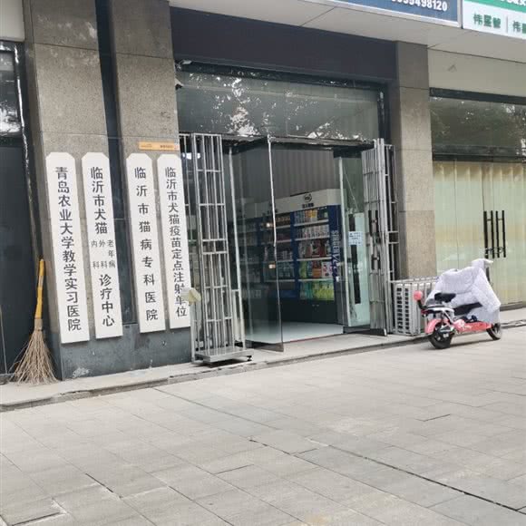 临沂市犬猫老年病外科内科诊疗中心:临沂市兰山区涑河街附近