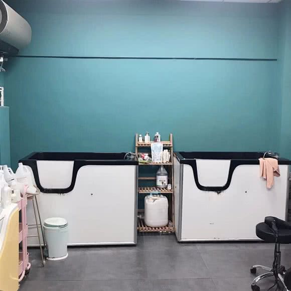 斯奈克狗狗连锁:临沂市兰山区凤凰广场附近