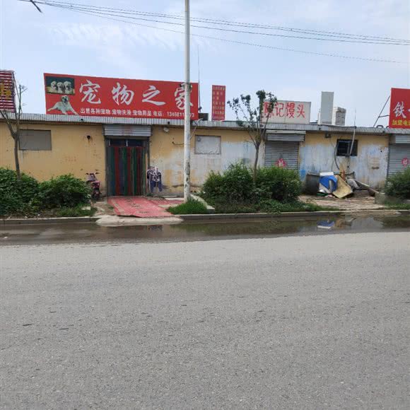 宠物之家:临沂市兰山区义堂镇附近
