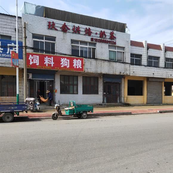 肥料狗粮:临沂市兰山区义堂镇附近