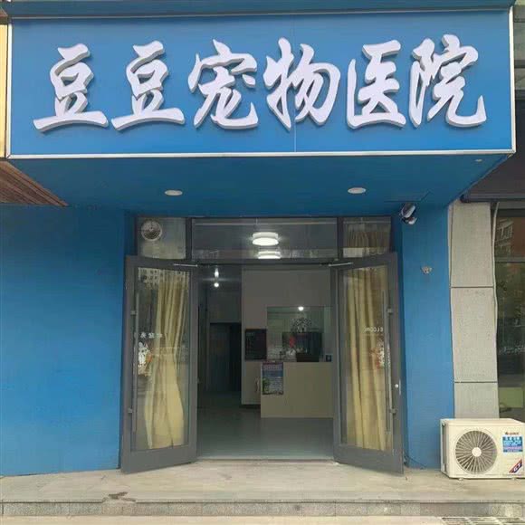 豆豆宠物医院(豆豆宠物诊疗中心):临沂市兰山区沂龙湾附近