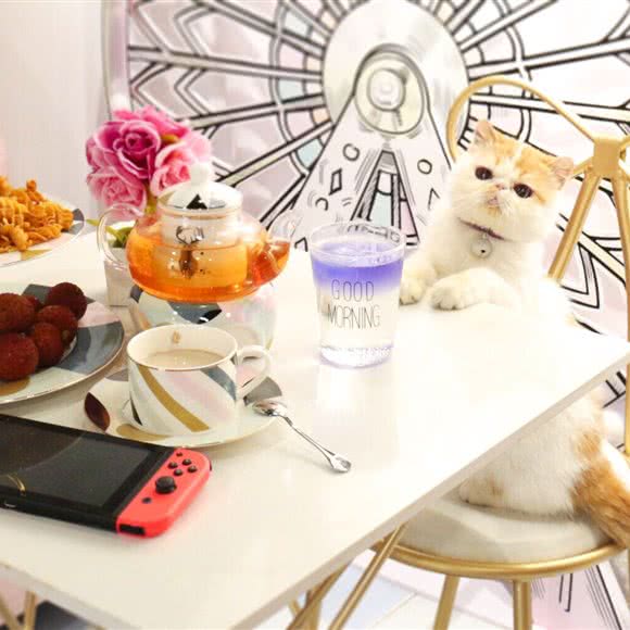 萌兽派宠物休闲中心:天津城区南开区王顶堤/华苑附近