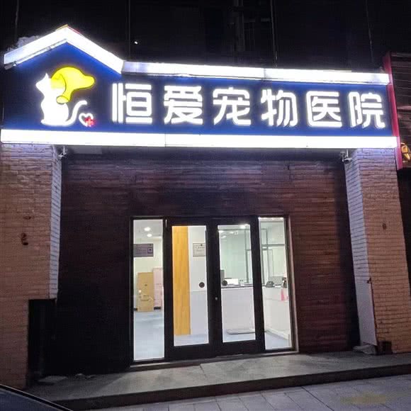 恒爱宠物医院:临沂市兰山区颐高上海街附近