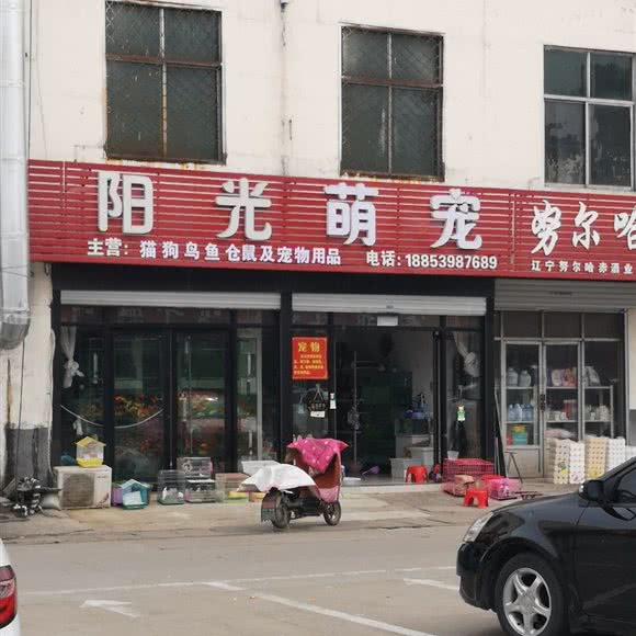 阳光萌宠:临沂市罗庄区双月湖附近