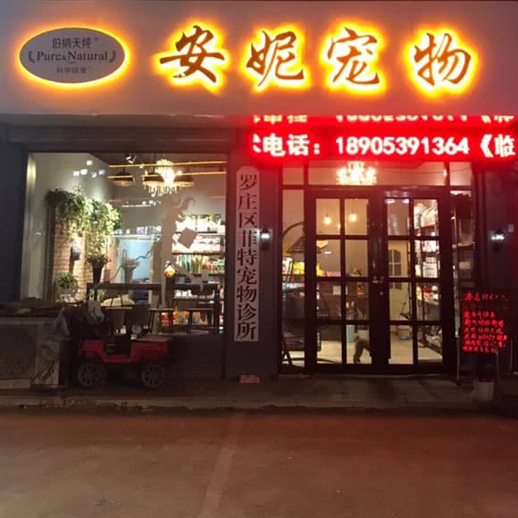 安妮宠物:临沂市罗庄区双月湖附近