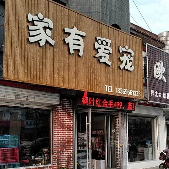 家有爱宠:临沂市罗庄区龙潭公园附近