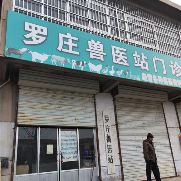 罗庄兽医站门诊:临沂市罗庄区龙潭公园附近