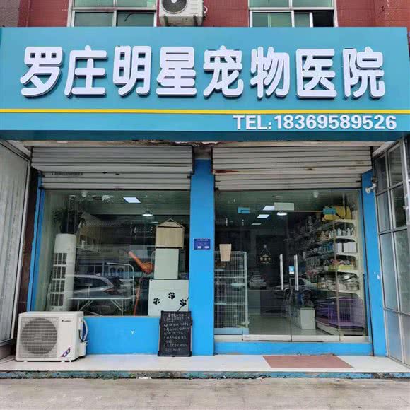 罗庄明星宠物医院:临沂市罗庄区宝丽财富广场附近