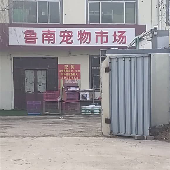 鲁南宠物市场:临沂市罗庄区麦德龙附近