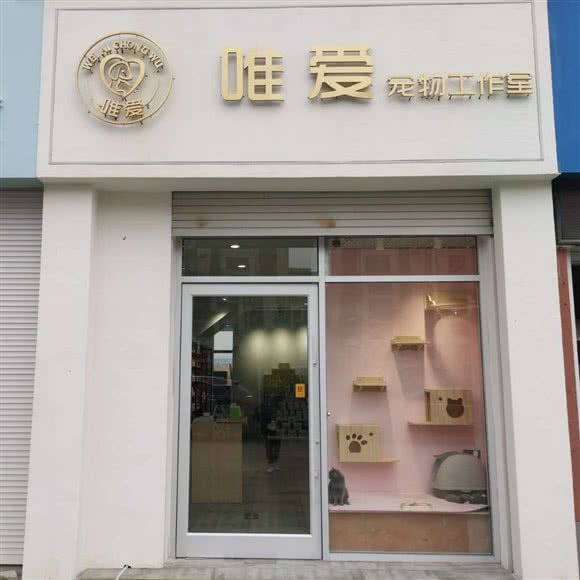 唯爱宠物工作室(清河南路店):临沂市罗庄区麦德龙附近