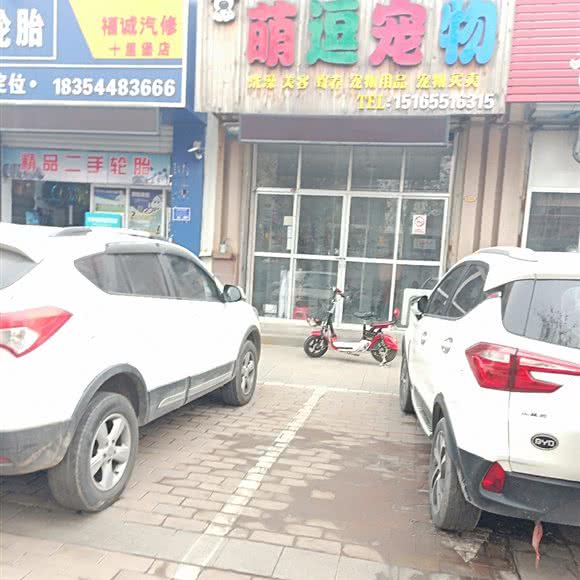 萌逗宠物:临沂市罗庄区麦德龙附近