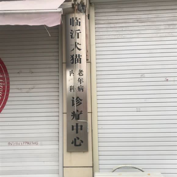 临沂犬猫内科老年病诊疗中心:临沂市罗庄区麦德龙附近