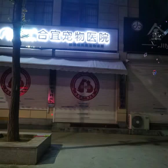 合宜宠物医院:临沂市罗庄区麦德龙附近