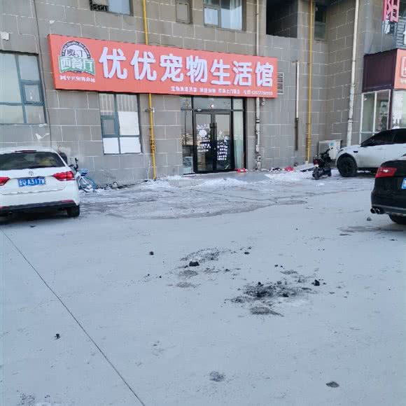 优优宠物生活馆:临沂市河东区河东汽车站附近