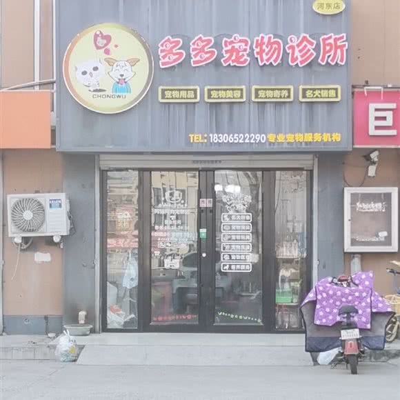多多宠物诊所(河东店):临沂市河东区河东汽车站附近