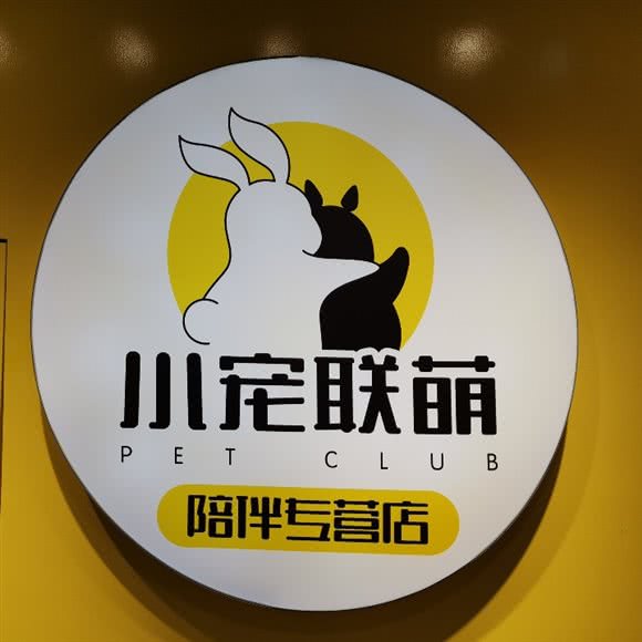 小宠联萌:临沂市河东区新城吾悦广场附近