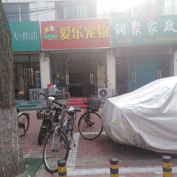 爱乐宠物:德州市德城区三八路附近
