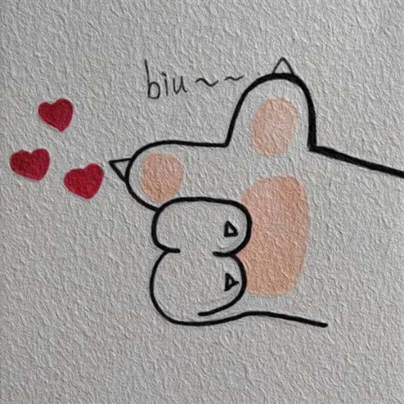 Cute claw萌爪·猫咪·换装:德州市德城区三八路附近