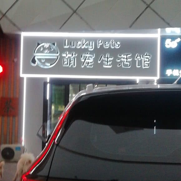 萌宠生话馆:德州市德城区万达广场附近