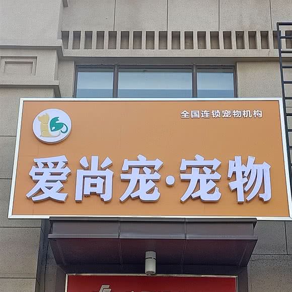 爱尚宠咖啡店:德州市德城区万达广场附近