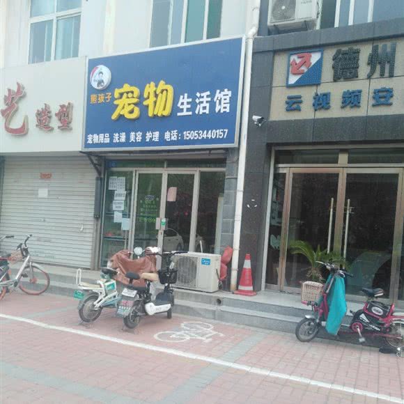 熊孩子狗狗生活馆:德州市德城区董子园风景区附近