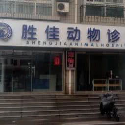 胜佳宠物诊所:德州市德城区湖滨南大道附近