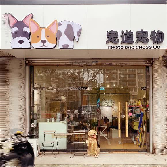 宠道宠物:德州市德城区天衢路附近