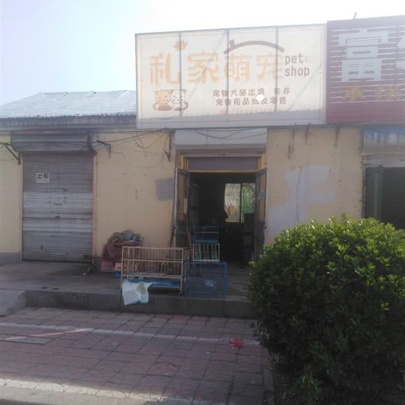 私家萌宠:德州市德城区天衢路附近