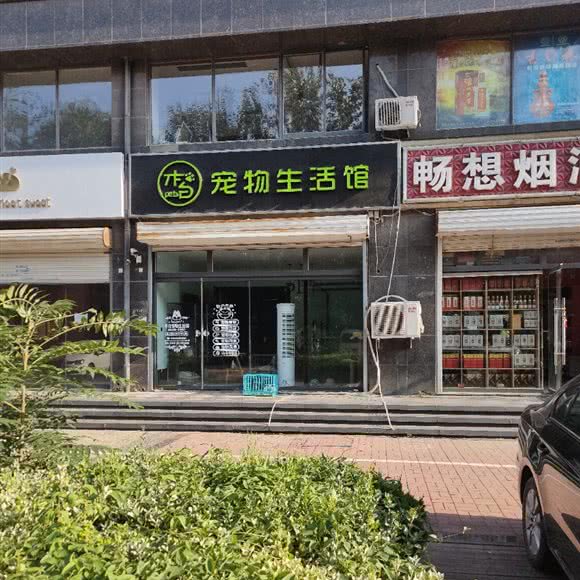 木白宠物狗生活馆:德州市德城区天衢路附近
