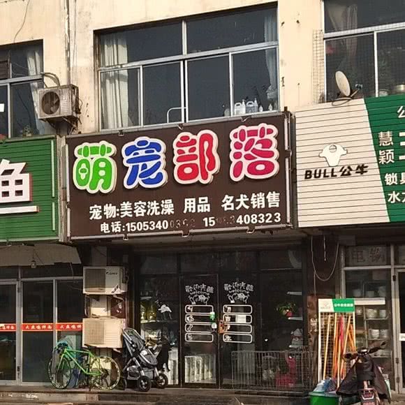 萌宠部落:德州市德城区铁西运河区附近