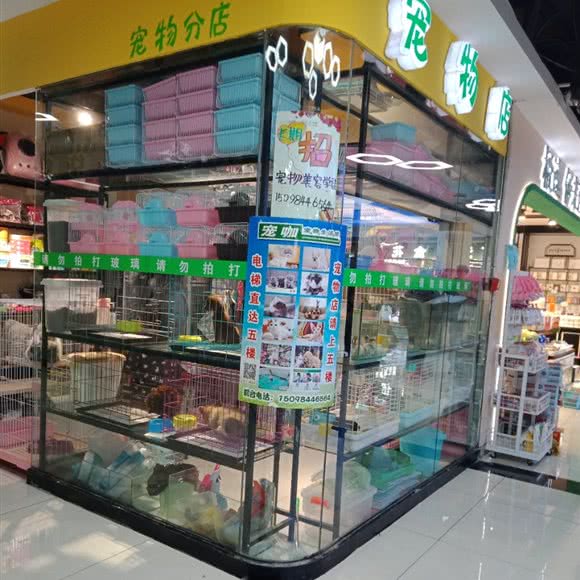 宠咖宠物生活馆:聊城市东昌府区新东方广场附近