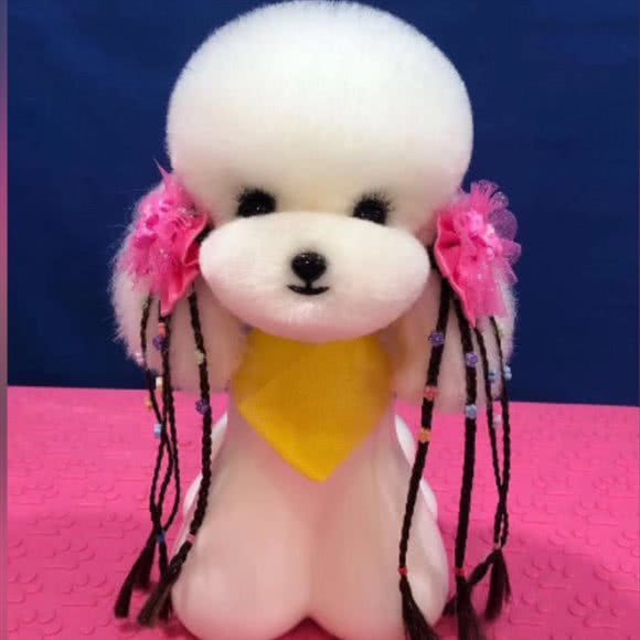 元圣宠物诊疗:聊城市东昌府区花园南路附近