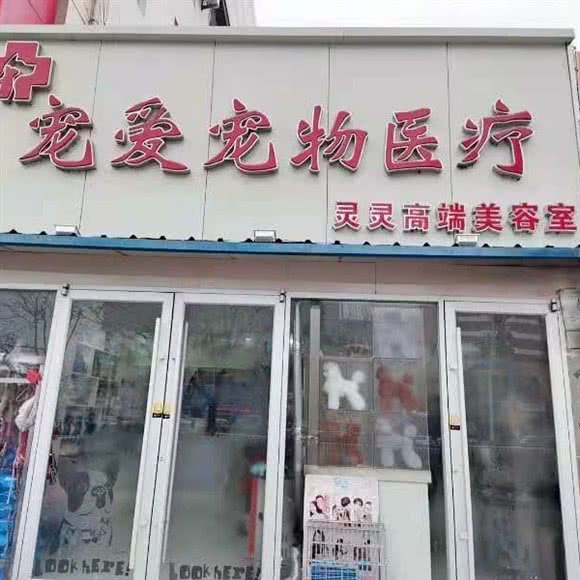 宠爱宠物医院:聊城市东昌府区花园南路附近