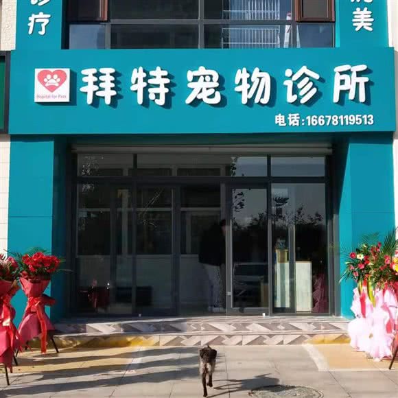 拜特宠物诊所:聊城市东昌府区振兴西路附近
