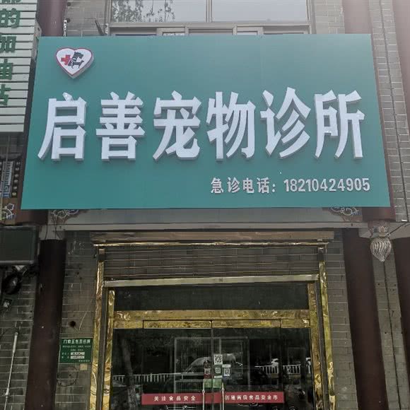 启善宠物诊所:聊城市东昌府区专医院附近