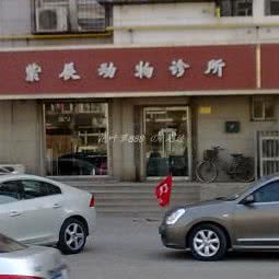 紫辰宠物医院:天津城区南开区王顶堤/华苑附近