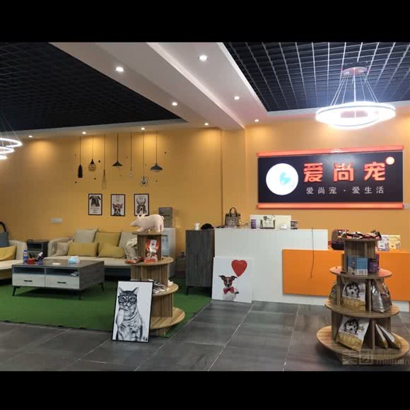 爱尚宠·宠物:滨州市滨城区渤海十路美食街附近