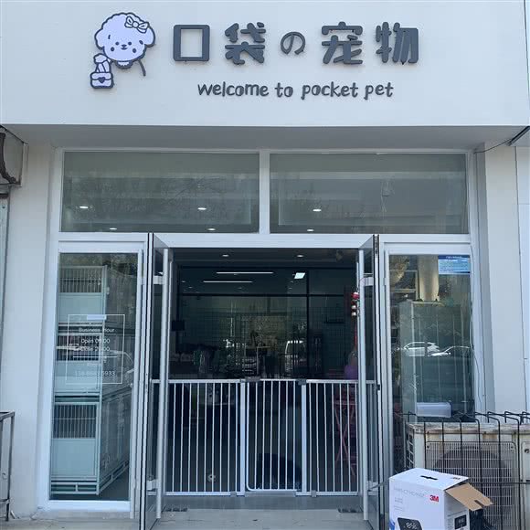 口袋宠物:滨州市滨城区西区附近