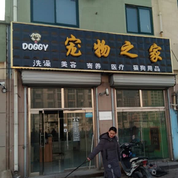 宠物之家:滨州市滨城区西区附近