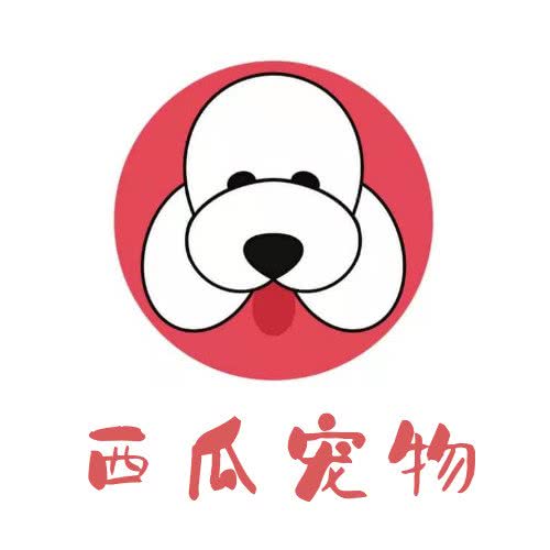 西瓜宠物:滨州市滨城区汽车总站附近