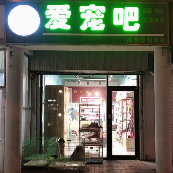 爱宠吧:滨州市滨城区黄河二路附近