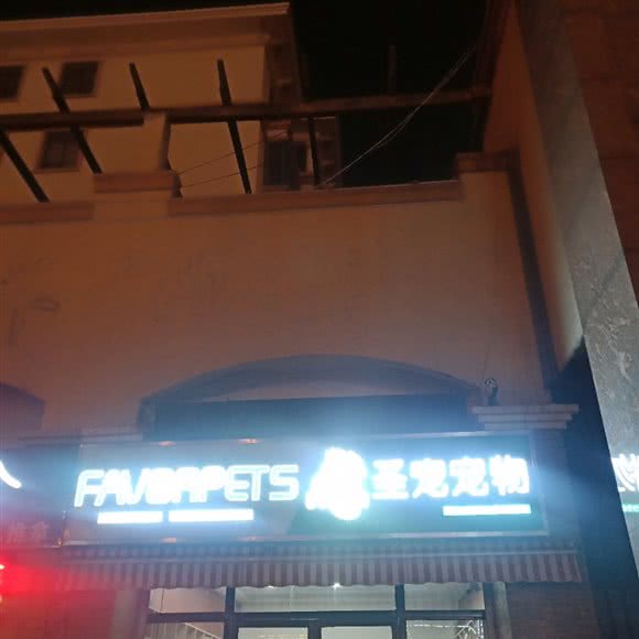 圣宠宠物(瑄嘉名都店):滨州市滨城区瑄嘉名都附近